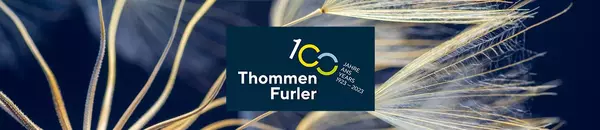 100 Jahre Bild und Logo